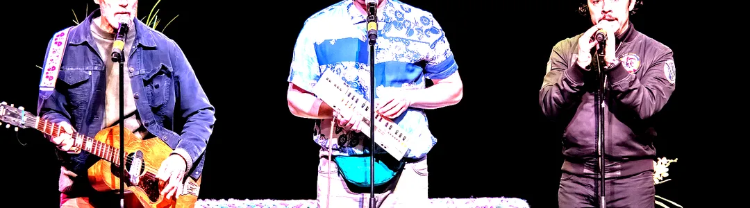 Napoleon Dynamite Live!