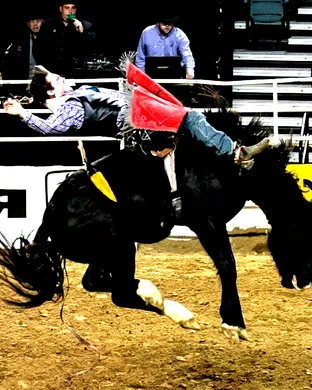 PRCA Rodeo