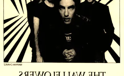 The Wallflowers